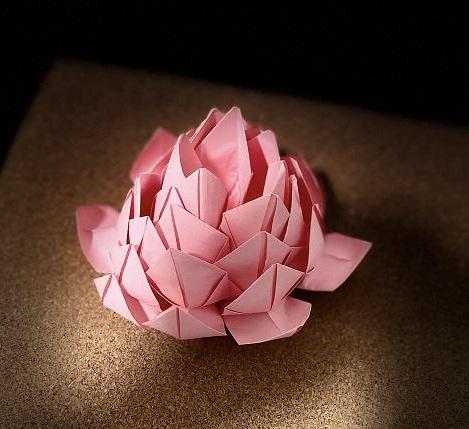 Water Lily Paper Art