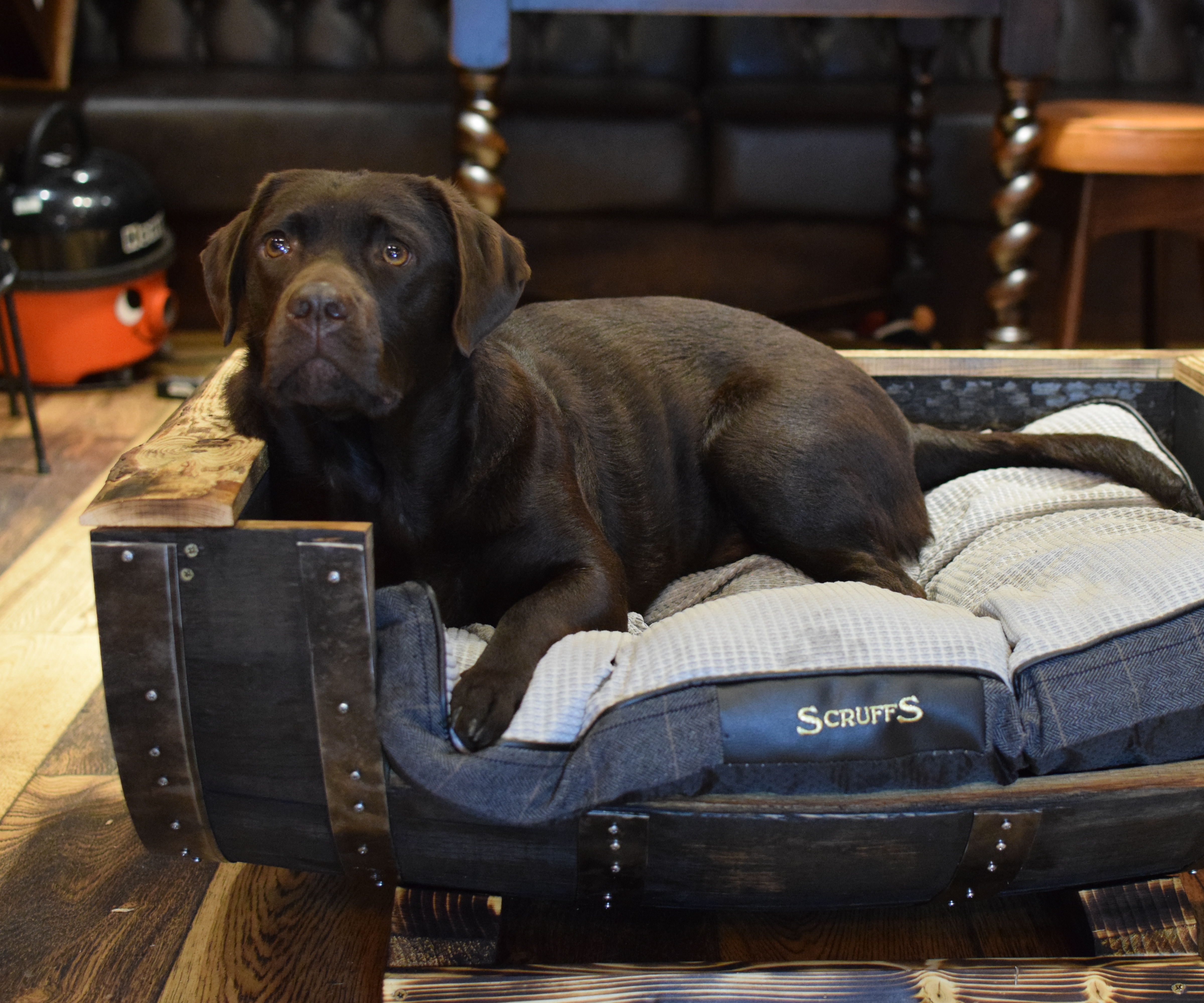 Converting an Old Whiskey Barrel Into a Dog Bed