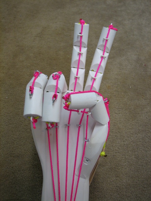 Science Fair - Articulated Hand < $20