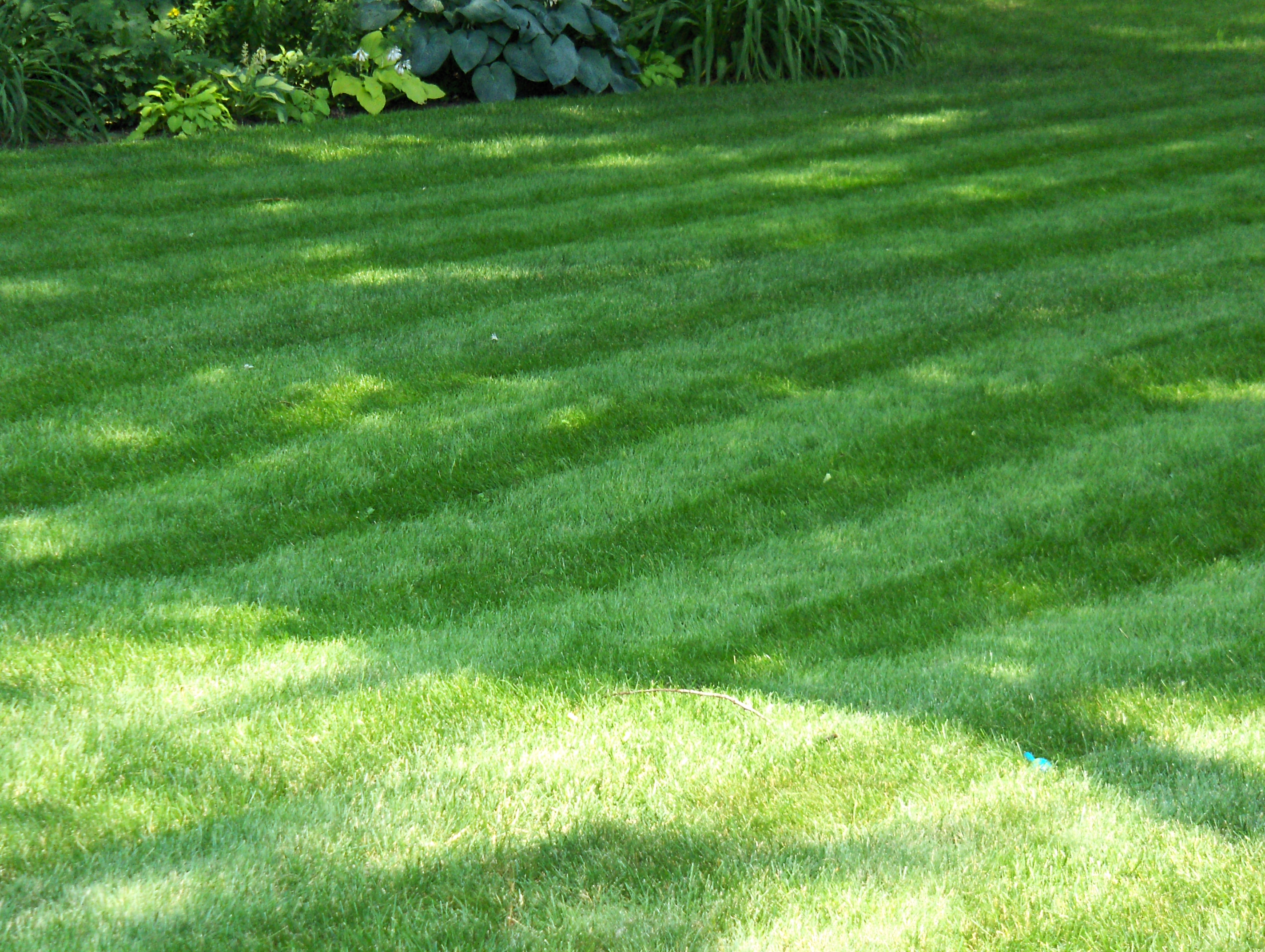 How to stripe your lawn