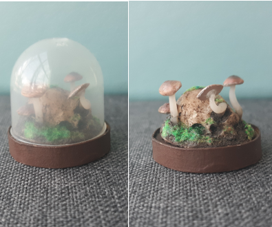 Skull and Mushroom Terrarium 