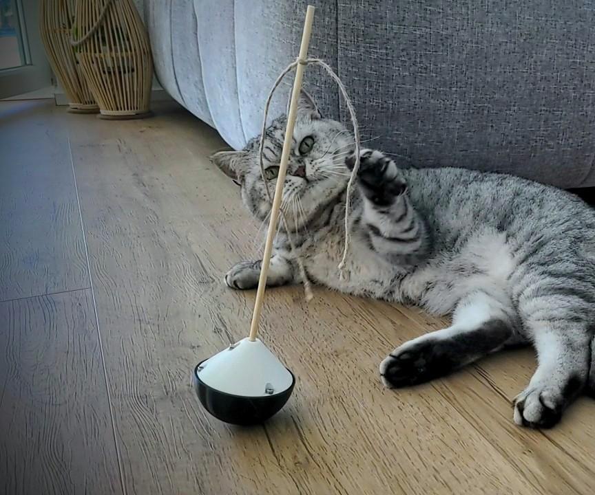 Stand-Up Cat Toy