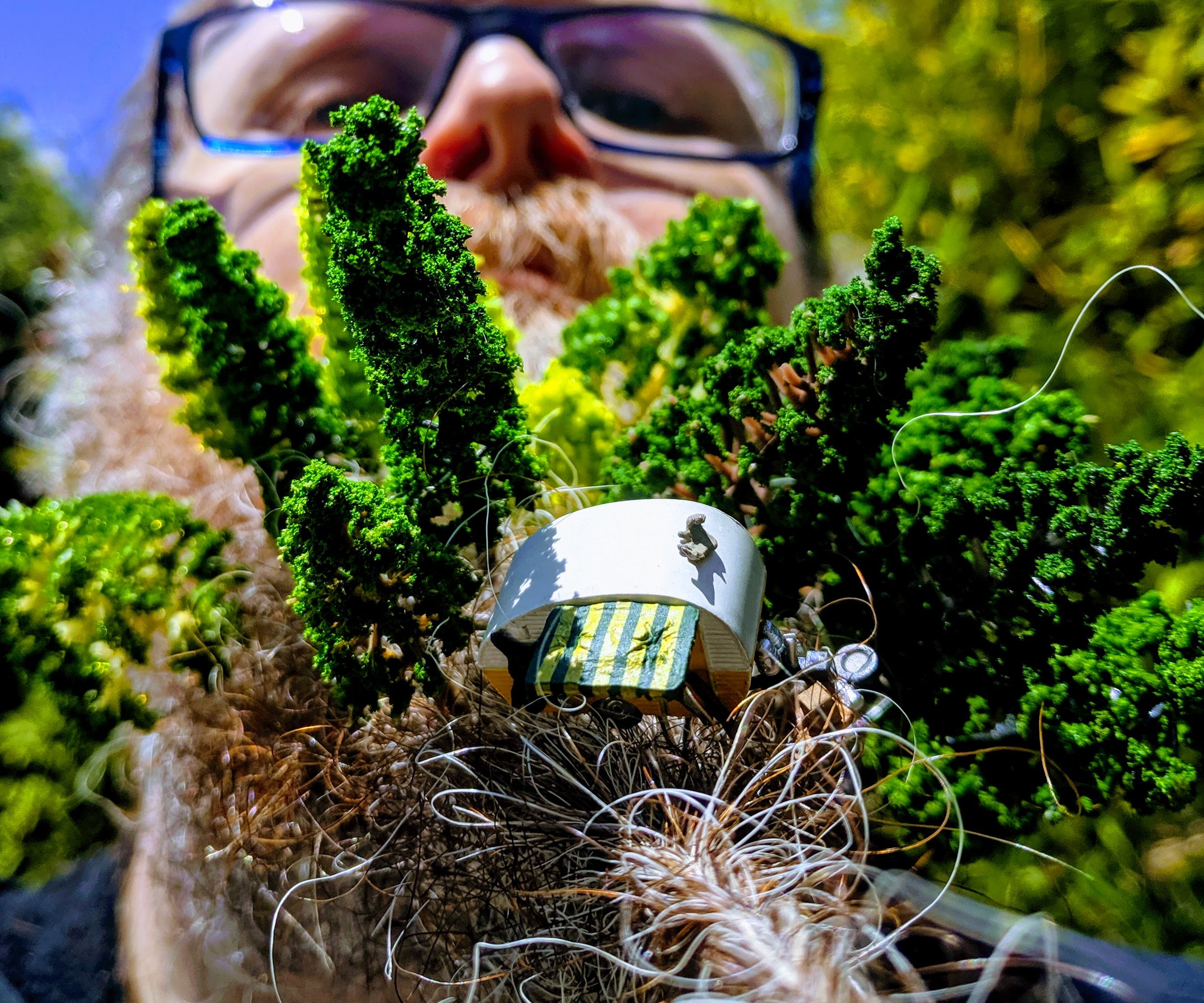 How to Make a Beard Forest