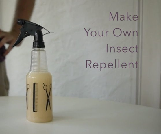 DIY Insect Repellent!!