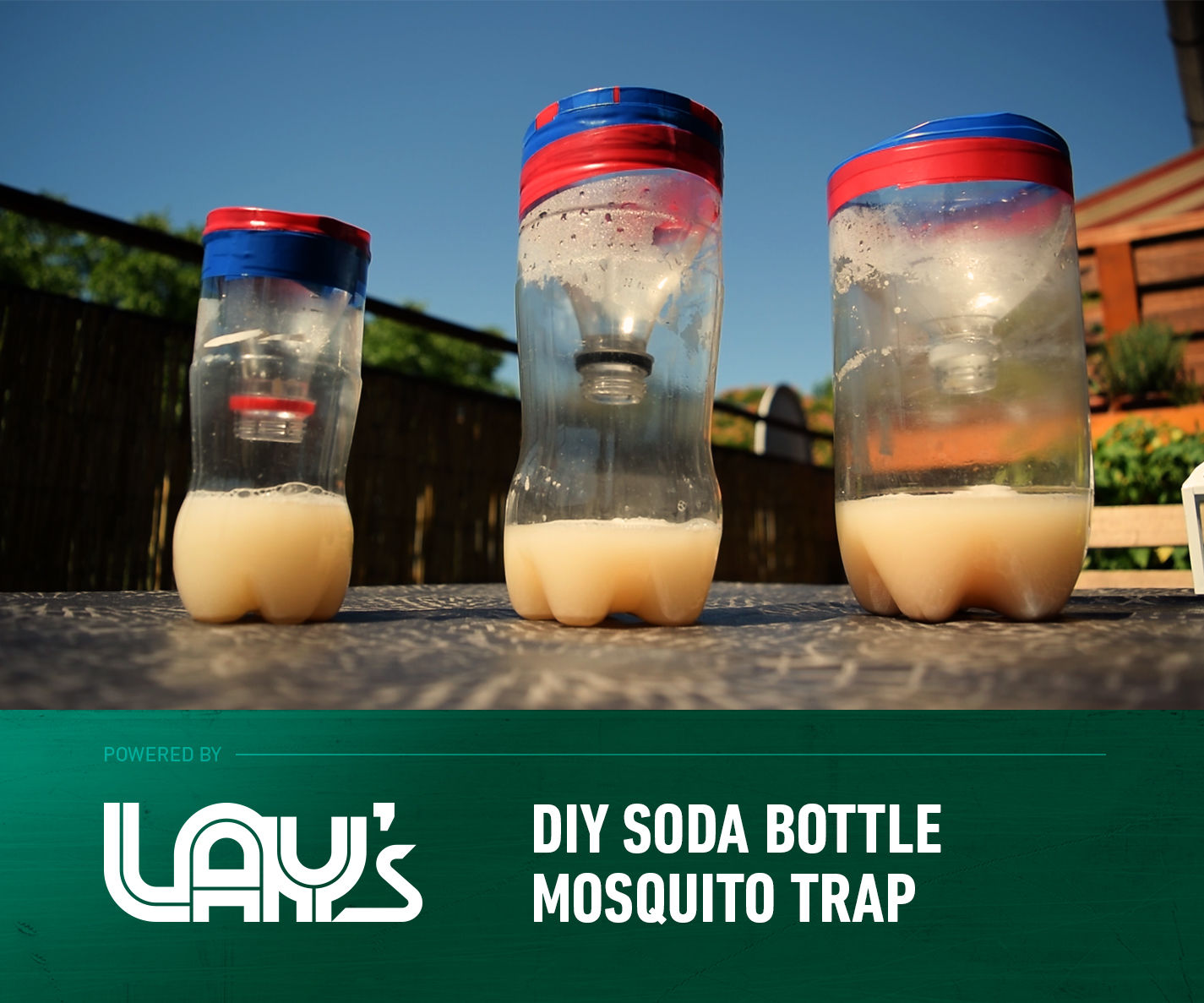 How to Make a DIY Mosquito Trap
