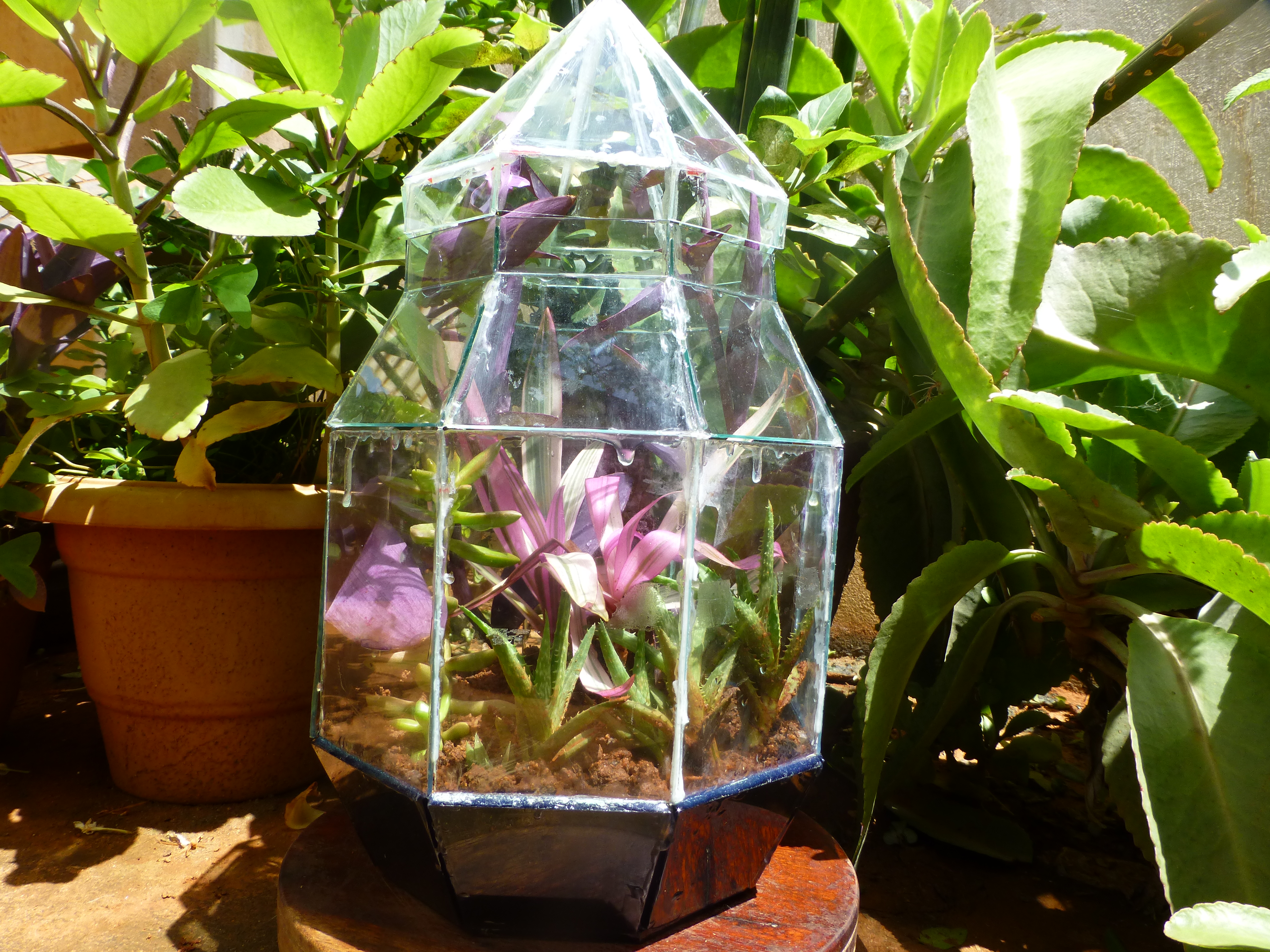 Stained Glass Terrarium: A weekend Project