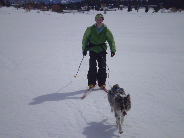 How to Ski Jour with your Dog