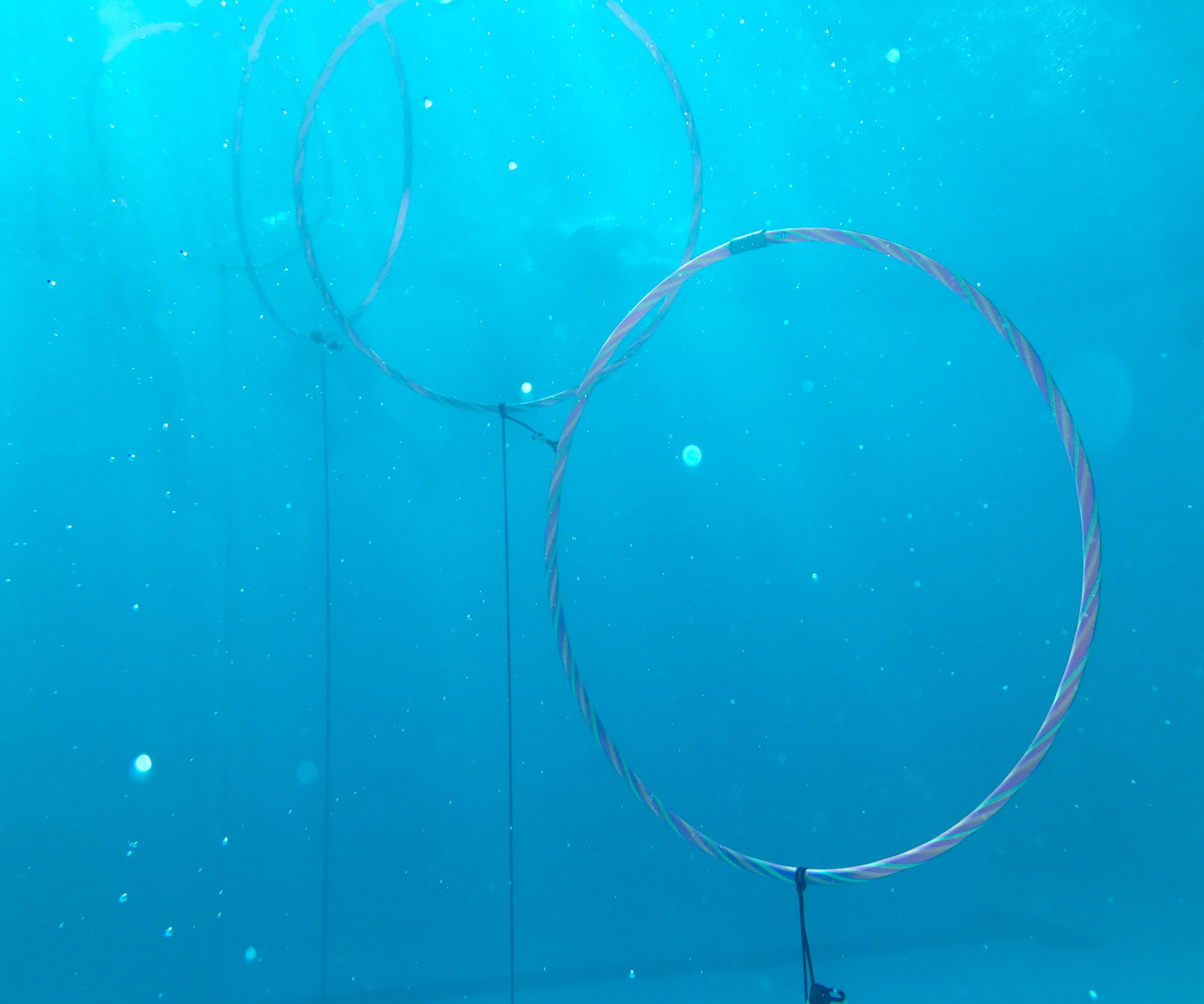 Underwater Diving Rings