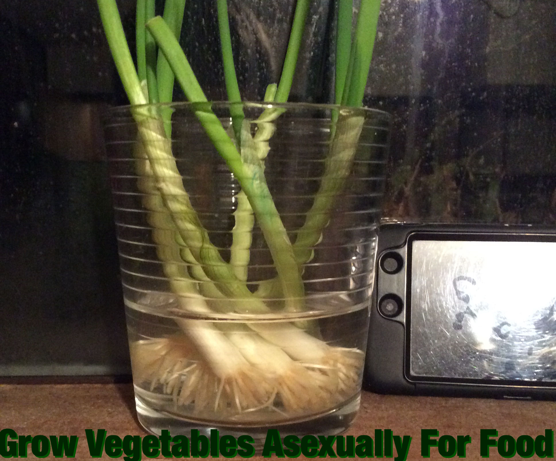 Grow Vegetables Asexually For The Apocalypse