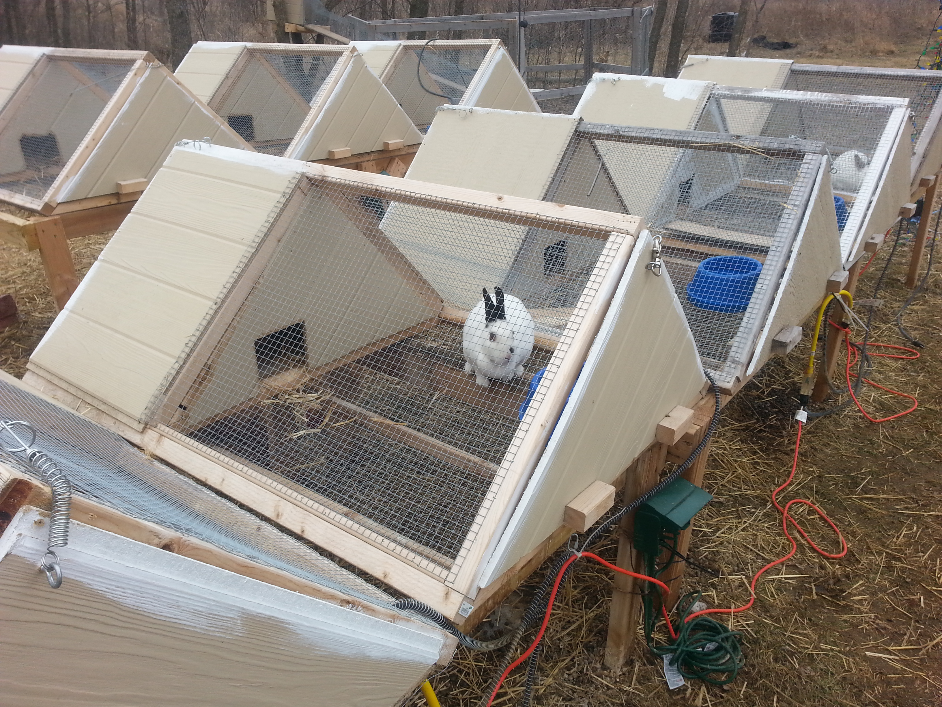 Super great A-frame rabbit hutch!