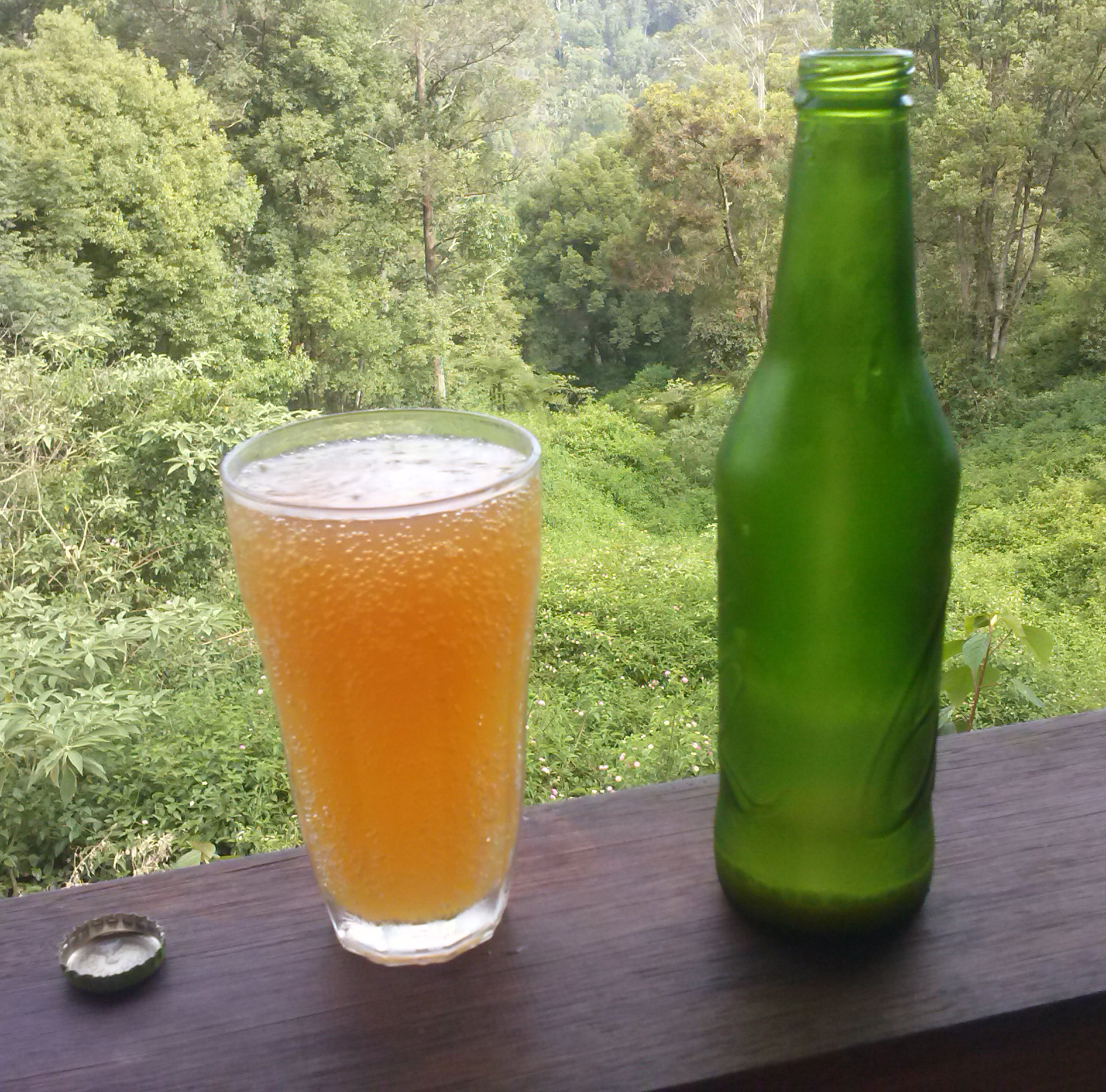 Refreshing Alcoholic Ginger Beer with Orange