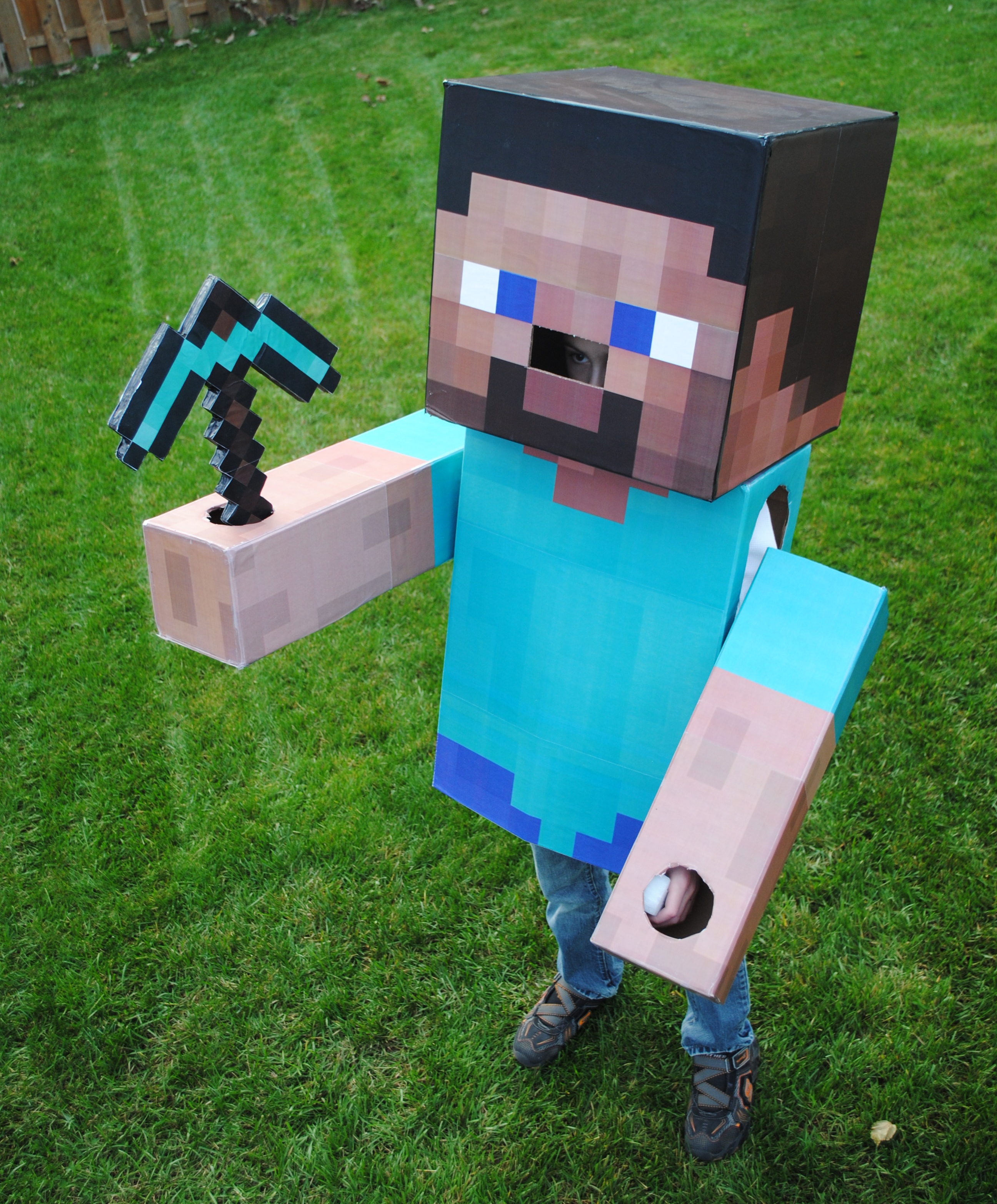 Minecraft Steve Costume