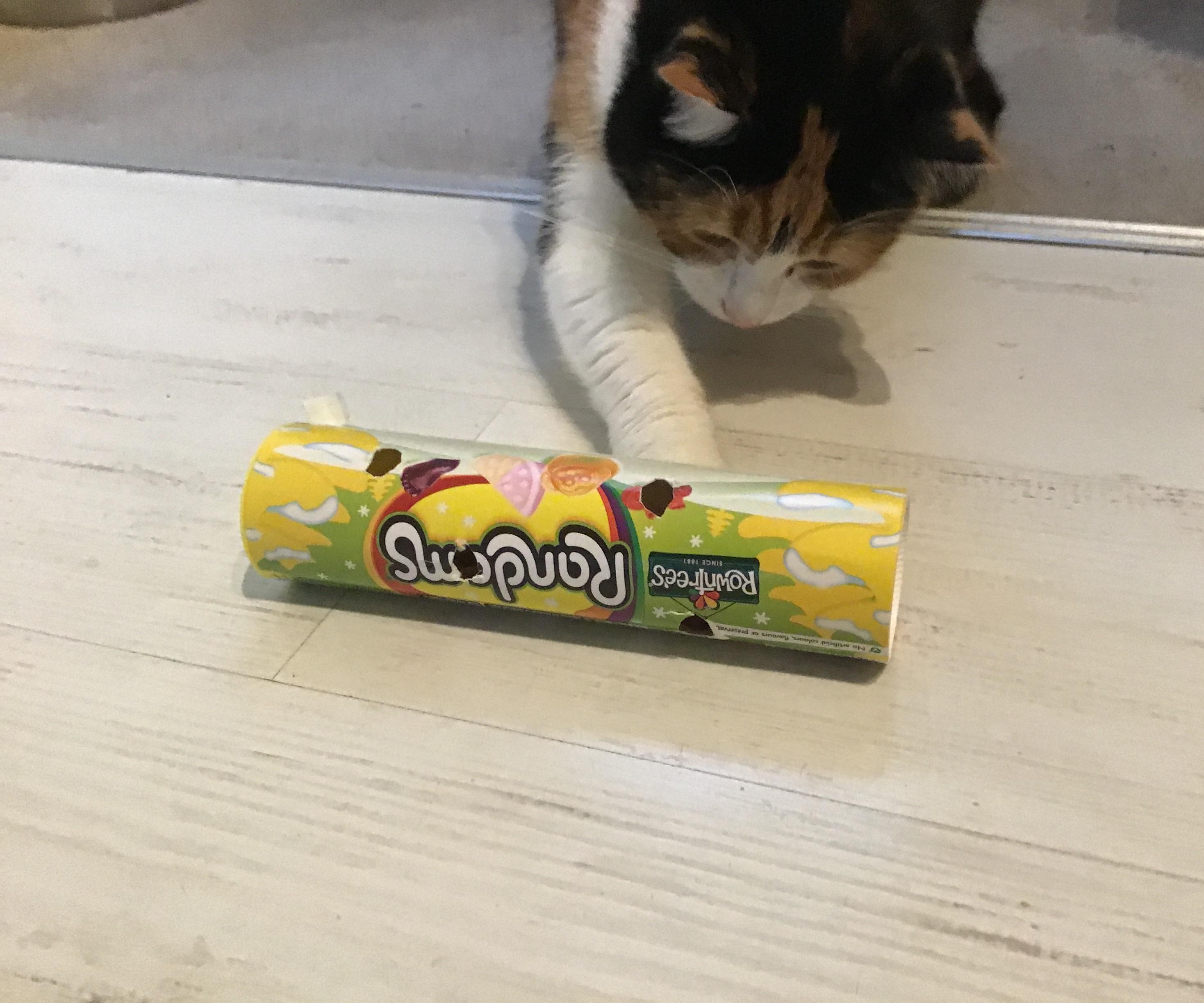 Easy Recycled Cat Treat Toy