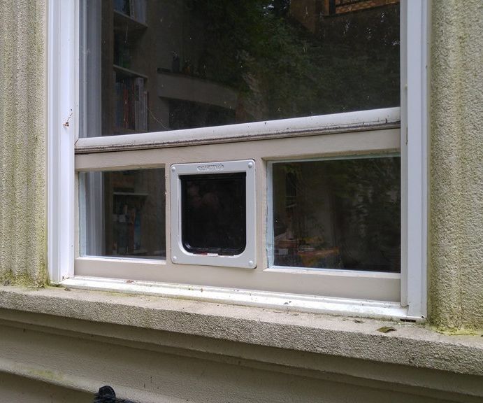 Pet Door Window Insert From XPS Foam and Double-Pane Glass