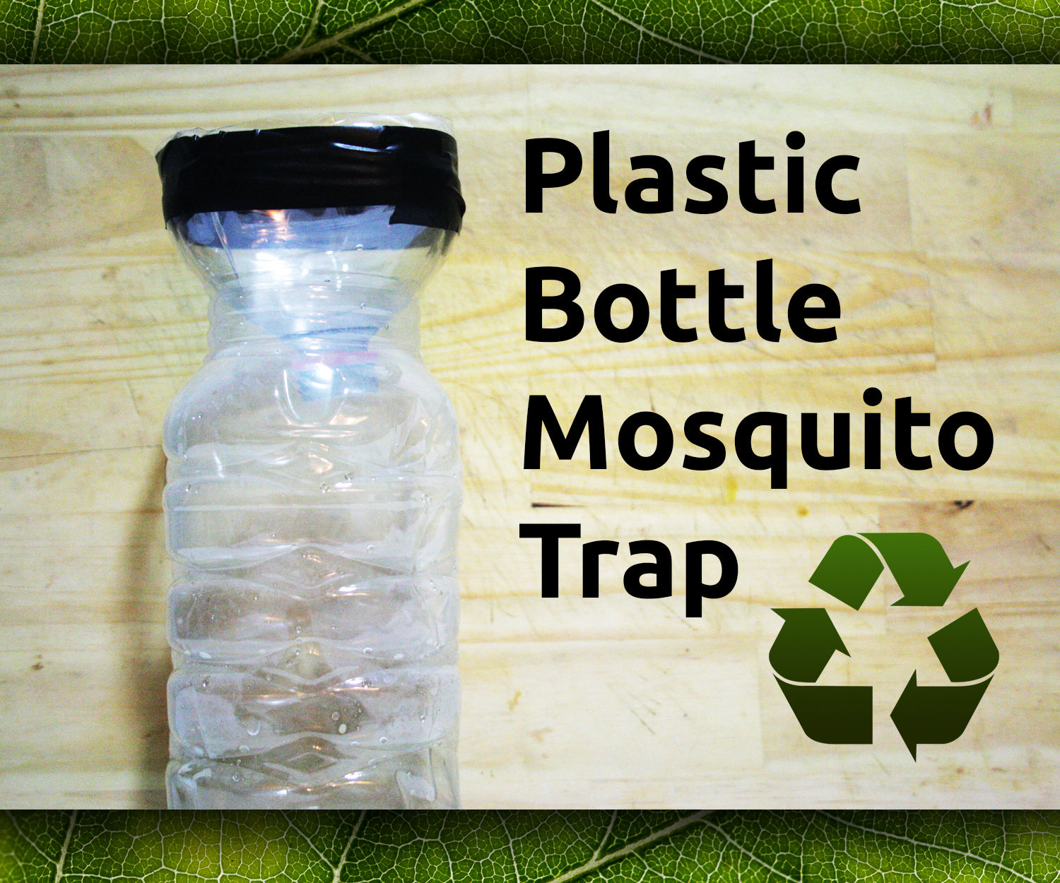 Plastic Bottle Mosquito Trap